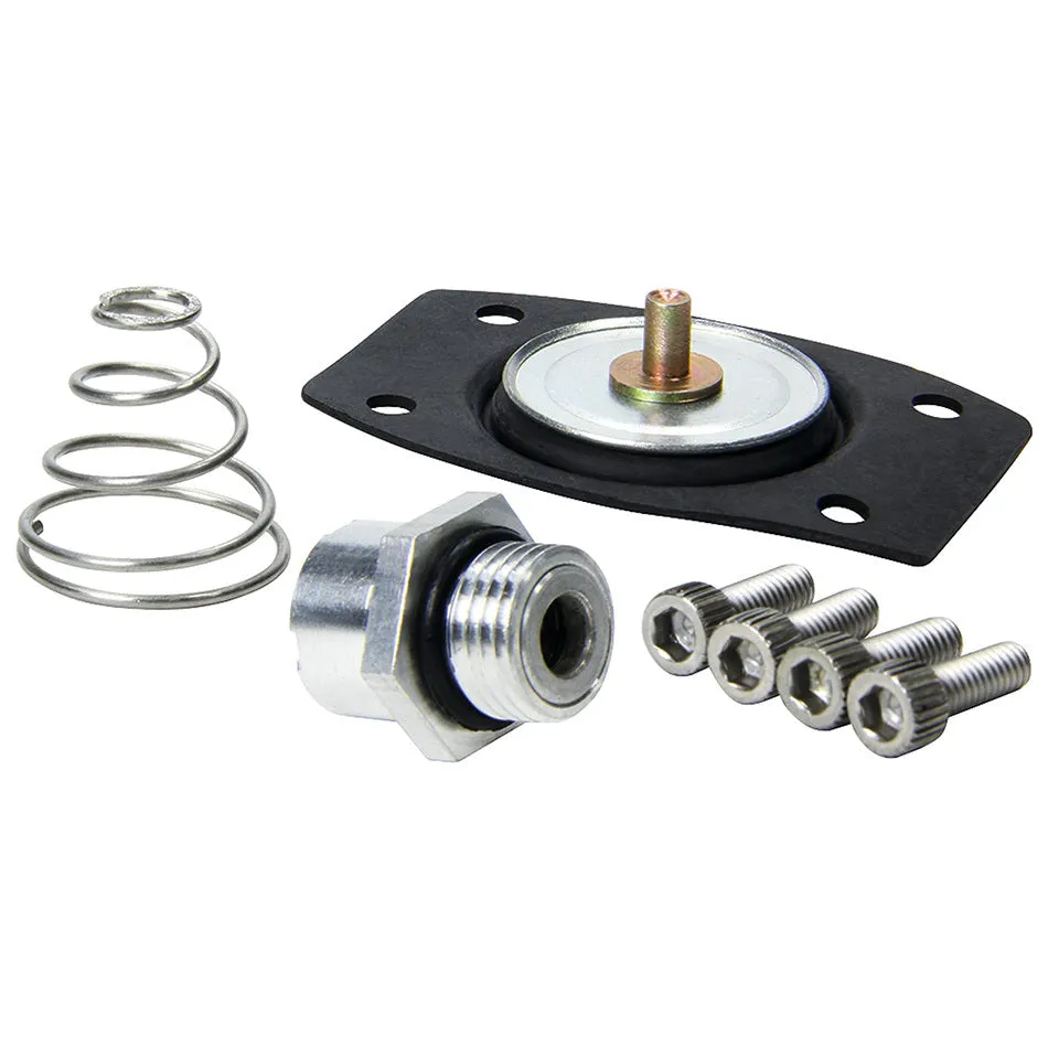 Allstar Performance Rebuild Kit for ALL40290