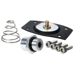 Allstar Performance Rebuild Kit for ALL40290