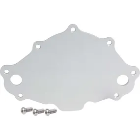 Allstar Performance Water Pump Back Plate Early SB Ford