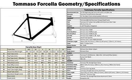Tommaso Forcella Endurance Aluminum Road Bike, Carbon Fork, Shimano Claris R2000, 24 Speeds, Aero Wheels - Matte White - Extra Small